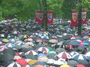Harvard Law School Graduation photograph