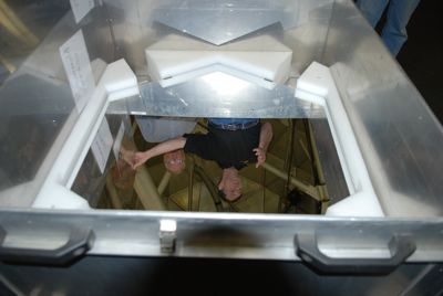 Mirror segment detail