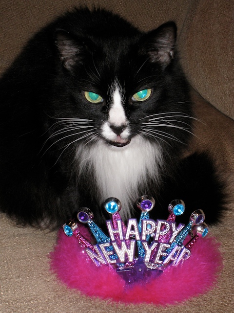 New Year’s Eve — December 31, 2008 photograph