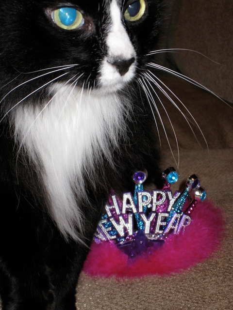 New Year’s Eve — December 31, 2008 photograph