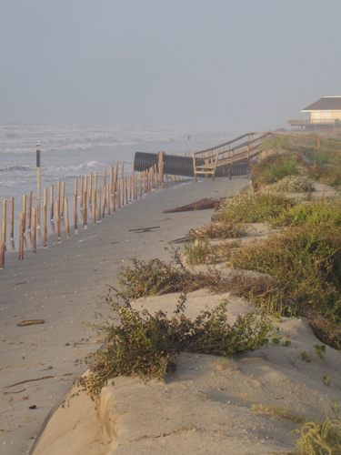 Beach view looking west toward the Barataria crossover