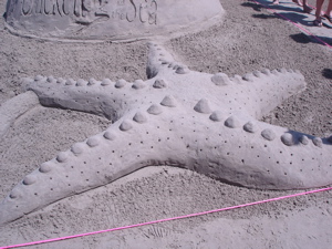 Galveston Sandcastle Contest photo 106