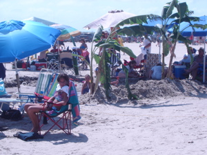 Galveston Sandcastle Contest photo 4