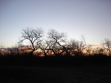Sunrise in the field on the second day of the hunt