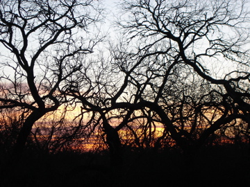 Hunters in the field at sunrise