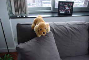 Stuffy — Rosie’s New York Cousin photograph