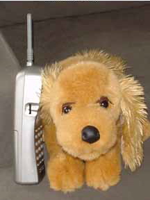 Stuffy — Rosie’s New York Cousin photograph